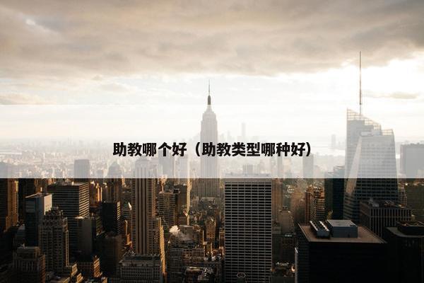 助教哪个好（助教类型哪种好）