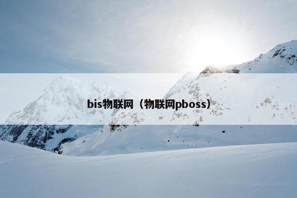 bis物联网（物联网pboss）