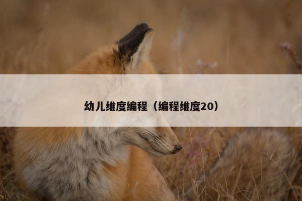 幼儿维度编程（编程维度20）