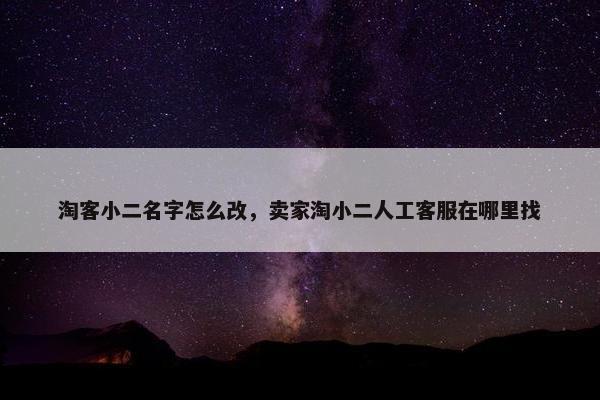 淘客小二名字怎么改，卖家淘小二人工客服在哪里找