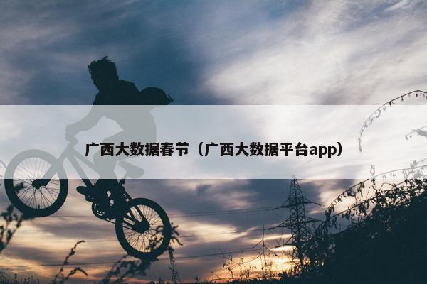 广西大数据春节（广西大数据平台app）