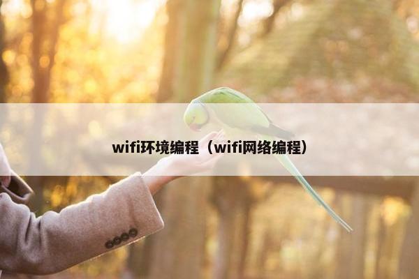 wifi环境编程（wifi网络编程）