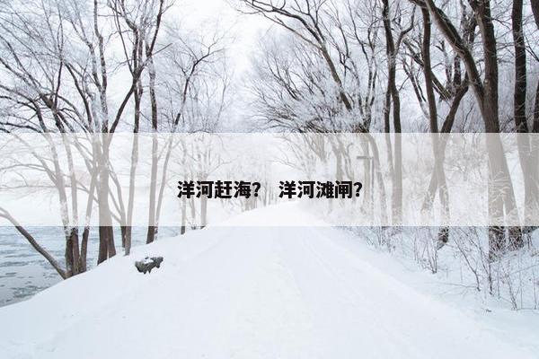 洋河赶海？ 洋河滩闸？