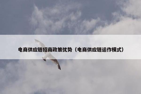 电商供应链招商政策优势（电商供应链运作模式）
