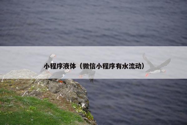 小程序液体（微信小程序有水流动）