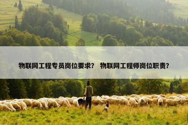 物联网工程专员岗位要求？ 物联网工程师岗位职责？