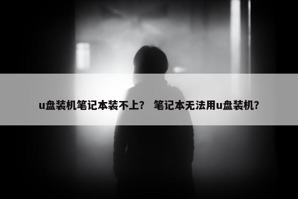 u盘装机笔记本装不上？ 笔记本无法用u盘装机？