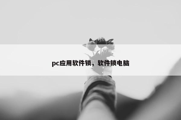 pc应用软件锁，软件锁电脑