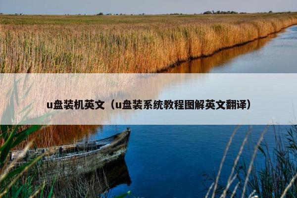 u盘装机英文（u盘装系统教程图解英文翻译）