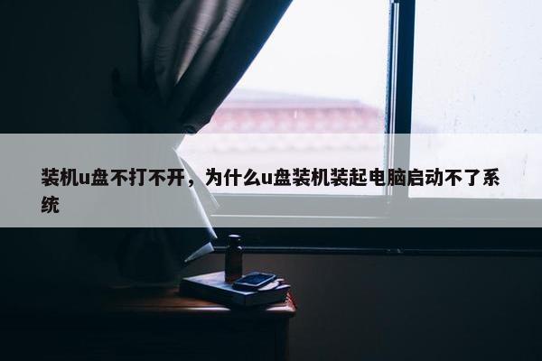 装机u盘不打不开，为什么u盘装机装起电脑启动不了系统