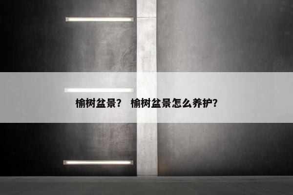 榆树盆景？ 榆树盆景怎么养护？