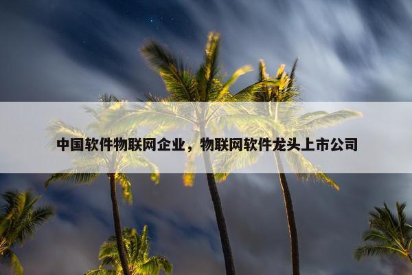 中国软件物联网企业，物联网软件龙头上市公司