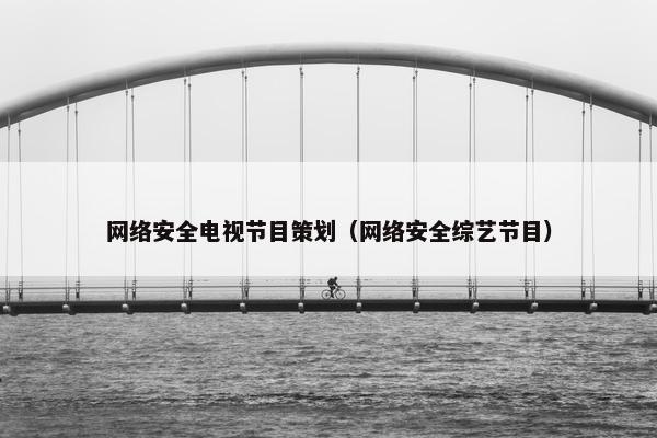 网络安全电视节目策划（网络安全综艺节目）