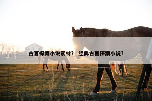古言探案小说素材？ 经典古言探案小说？