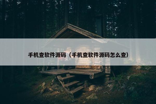 手机查软件源码（手机查软件源码怎么查）