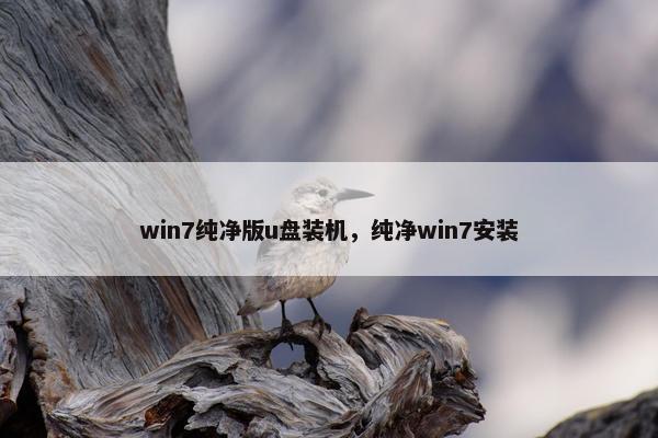 win7纯净版u盘装机，纯净win7安装