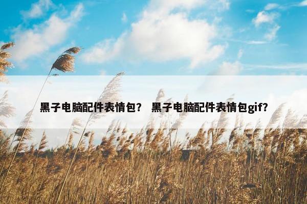 黑子电脑配件表情包？ 黑子电脑配件表情包gif？