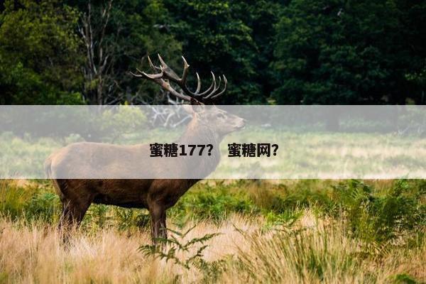 蜜糖177？ 蜜糖网？