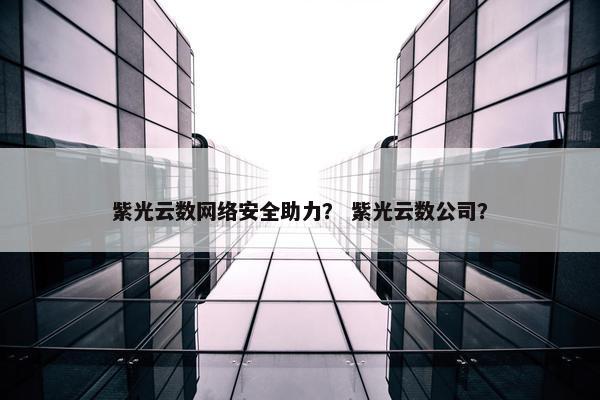 紫光云数网络安全助力？ 紫光云数公司？