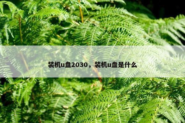 装机u盘2030，装机u盘是什么