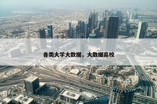 各类大学大数据，大数据高校