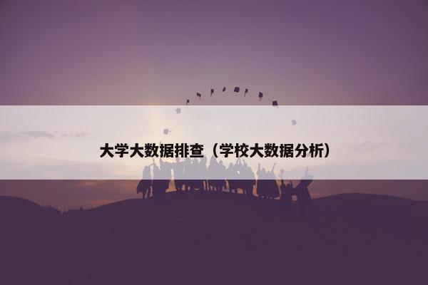 大学大数据排查（学校大数据分析）