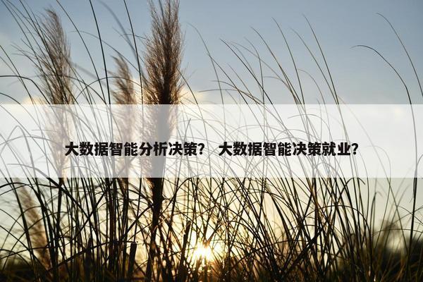 大数据智能分析决策？ 大数据智能决策就业？