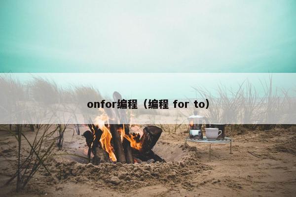 onfor编程（编程 for to）