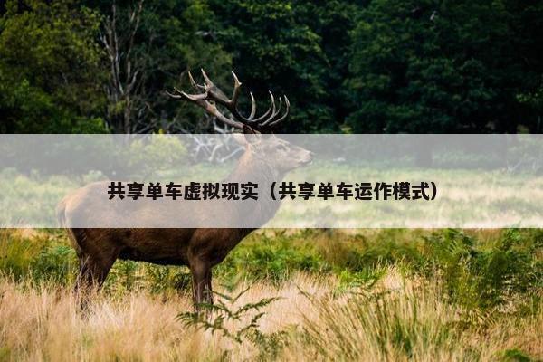 共享单车虚拟现实（共享单车运作模式）