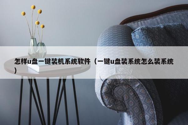 怎样u盘一键装机系统软件（一键u盘装系统怎么装系统）