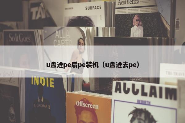u盘进pe后pe装机（u盘进去pe）