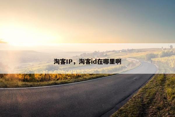 淘客IP，淘客id在哪里啊