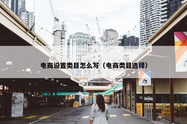 电商设置类目怎么写（电商类目选择）