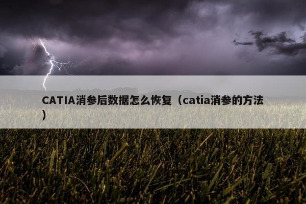 CATIA消参后数据怎么恢复（catia消参的方法）