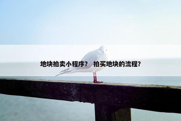 地块拍卖小程序？ 拍买地块的流程？