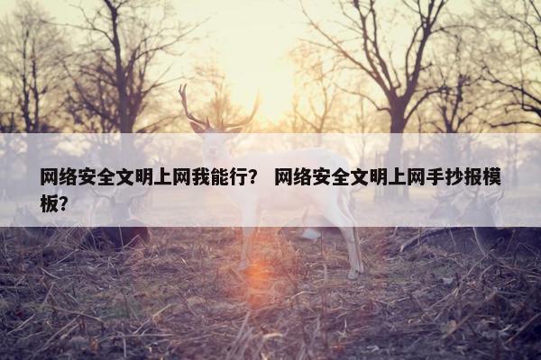 网络安全文明上网我能行？ 网络安全文明上网手抄报模板？