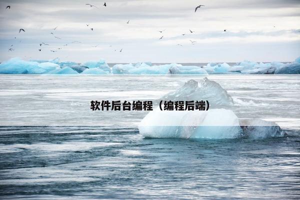 软件后台编程（编程后端）