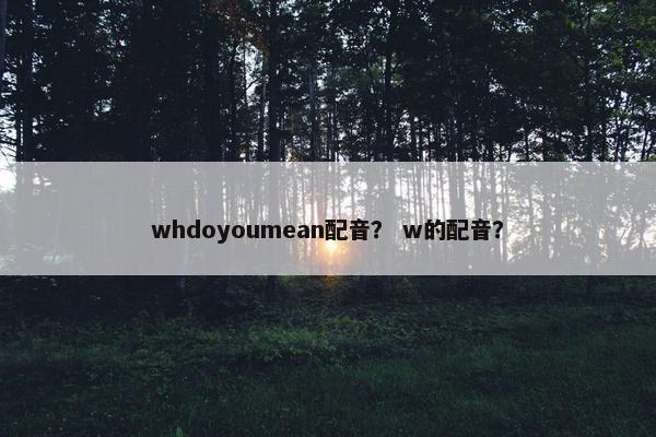 whdoyoumean配音？ w的配音？