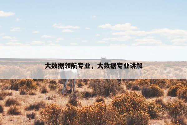 大数据领航专业，大数据专业讲解