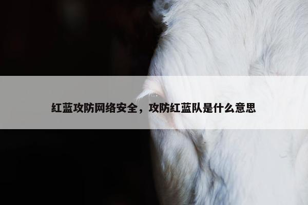 红蓝攻防网络安全,攻防红蓝队是什么意思 红蓝攻防网络安全,攻防红蓝队是什么意思