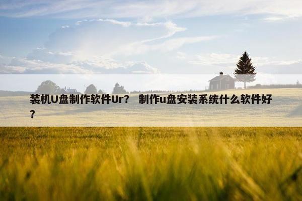 装机U盘制作软件Ur？ 制作u盘安装系统什么软件好？
