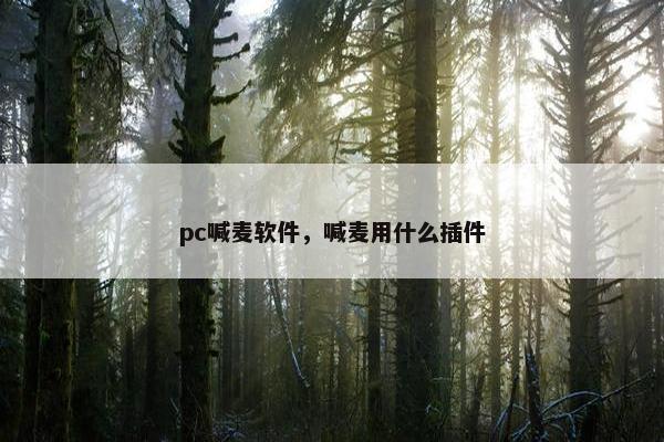 pc喊麦软件，喊麦用什么插件