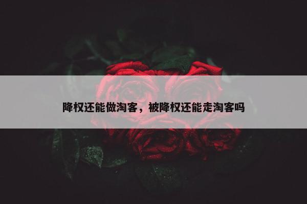 降权还能做淘客，被降权还能走淘客吗