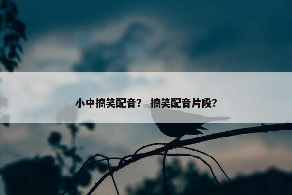 小中搞笑配音？ 搞笑配音片段？