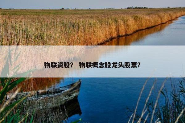 物联资股？ 物联概念股龙头股票？