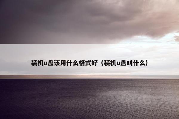 装机u盘该用什么格式好（装机u盘叫什么）