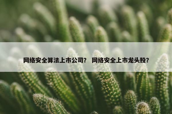 网络安全算法上市公司？ 网络安全上市龙头股？