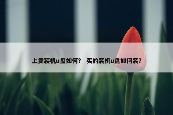 上卖装机u盘如何？ 买的装机u盘如何装？