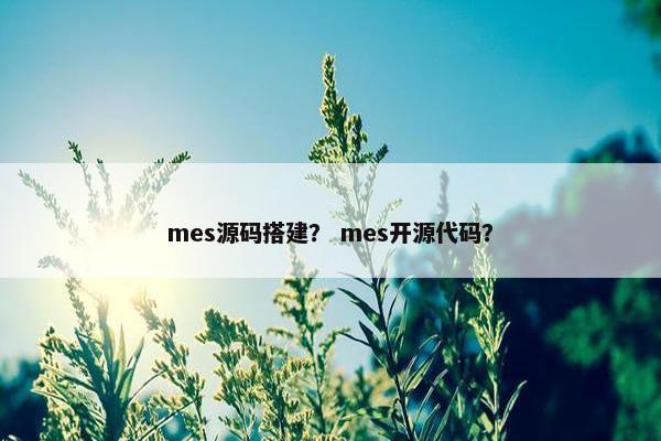 mes源码搭建？ mes开源代码？