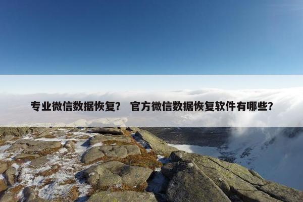 专业微信数据恢复？ 官方微信数据恢复软件有哪些？